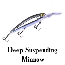 Deep Suspending Minnow