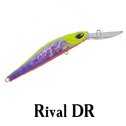 Rival DR