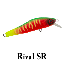 Rival SR