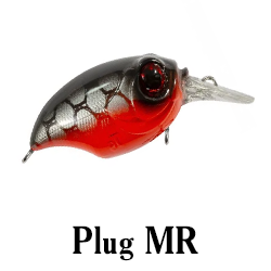 Plug MR