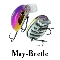 May-Beetle