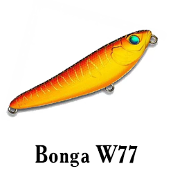 Bonga W77