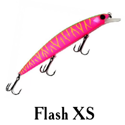 Flash XS