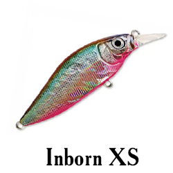 Inborn XS