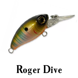 Roger Dive