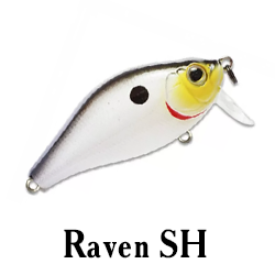 Raven SH