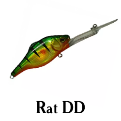 Rat DD