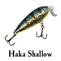 Haka Shallow