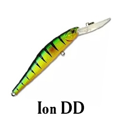 Ion DD